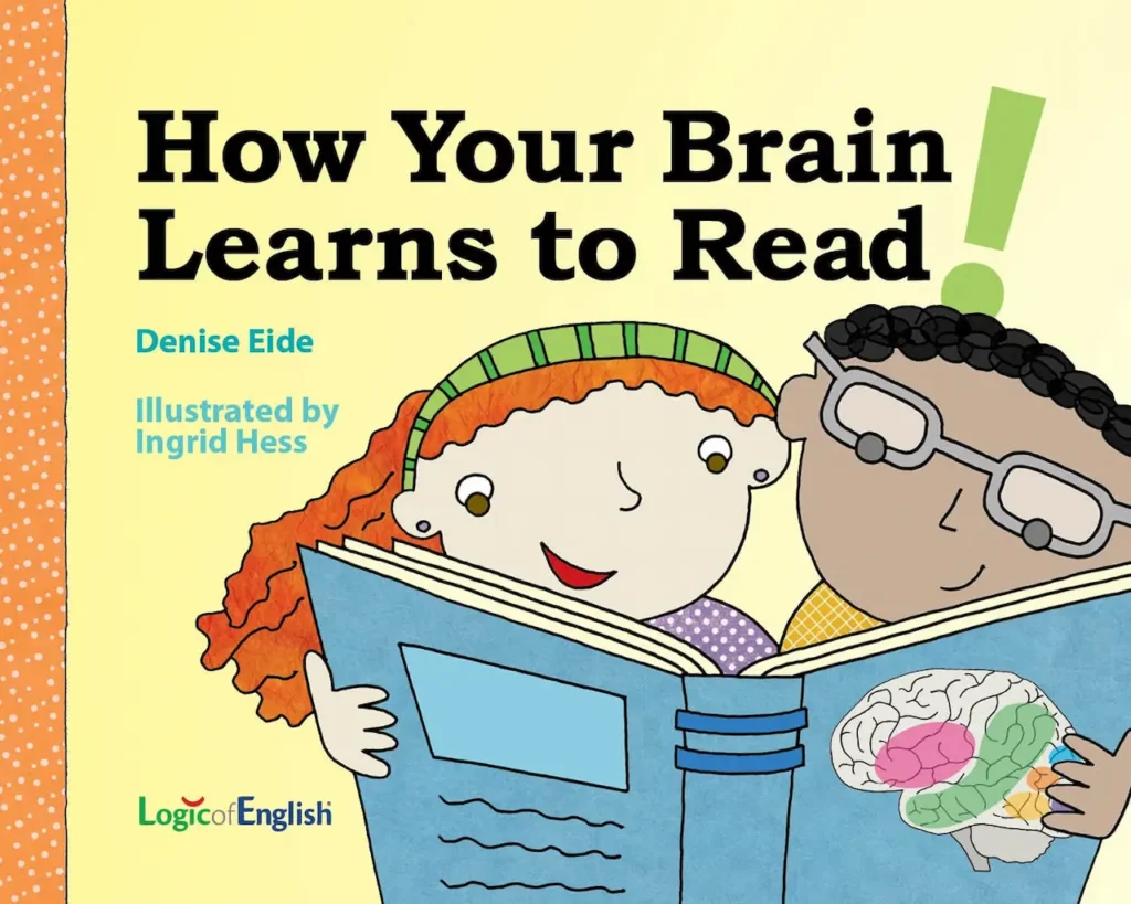 Your Brain Does Not Learn by Reading. It Learns by Retrieving.